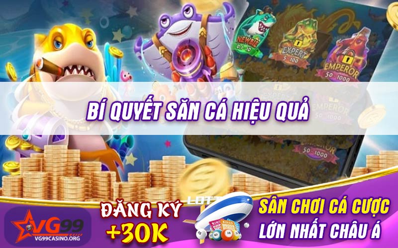 Bí quyết săn cá hiệu quả