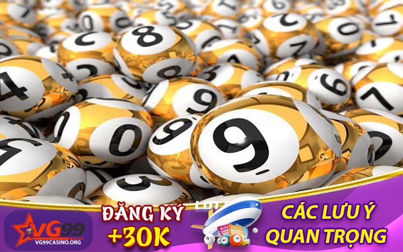 Các lưu ý quan trọng